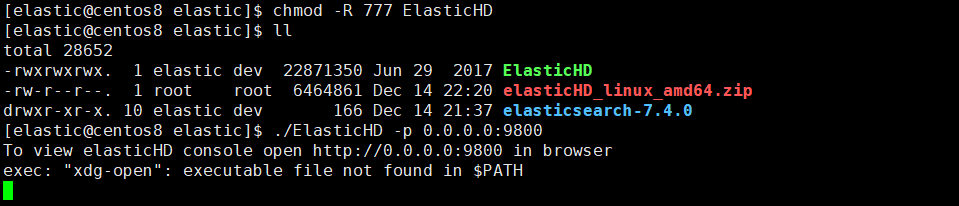 ElasticHD启动